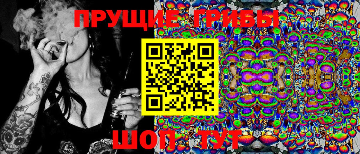 купить наркоту  Псилоцибиновые грибы Psilocybine cubensis  Вход с VPN  Переславль-Залесский 