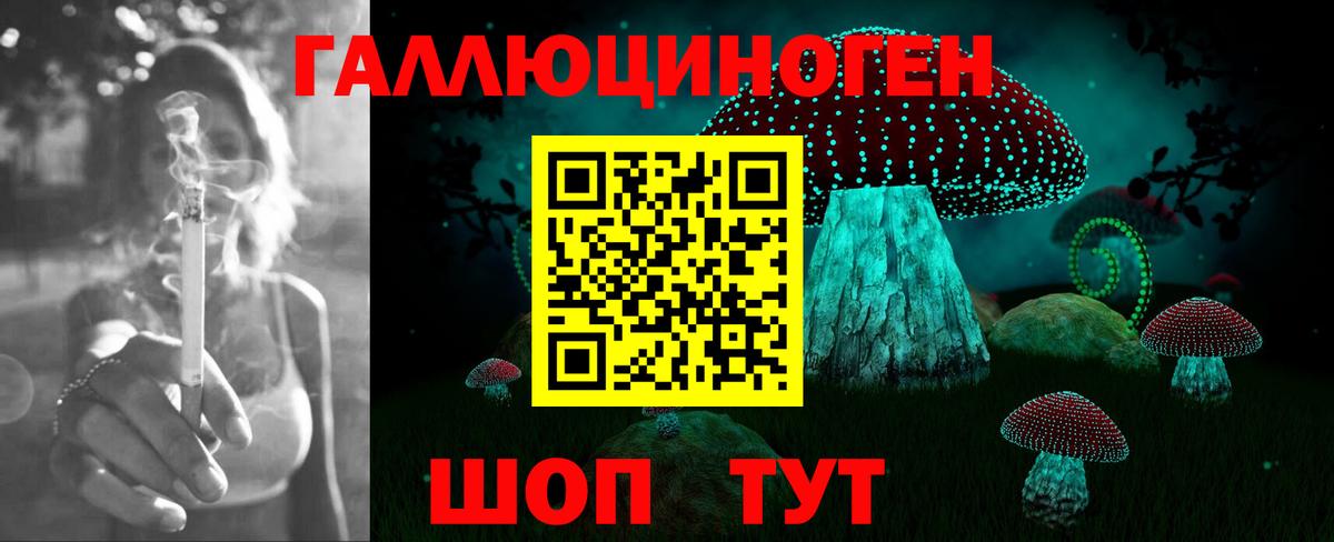 Галлюциногенные грибы Cubensis Переславль-Залесский